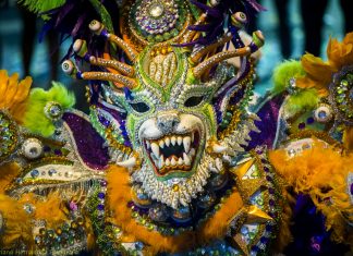 Carnaval 2019 ADN.